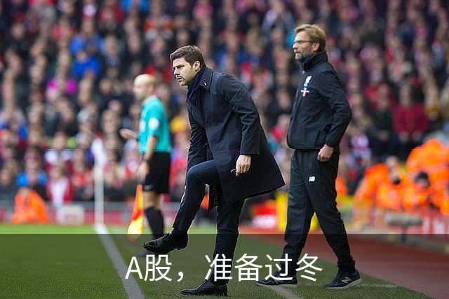 A股，准备过冬
